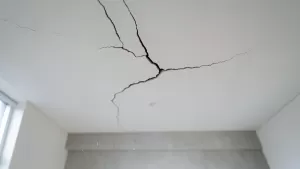 deweloper usterki po odbiorze