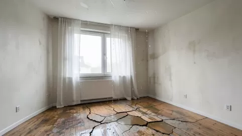 odszkodowanie od dewelopera za usterki